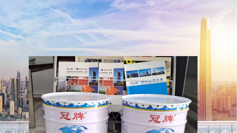 汽车内饰塑胶漆：揭秘其规格参数与选用要点**
